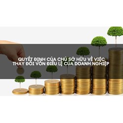Quyết định của chủ sở hữu về việc thay đổi vốn điều lệ của doanh nghiệp