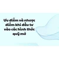 Ưu điểm và nhược điểm khi đầu tư vào các hình thức quỹ mở