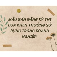 Mẫu bản đăng ký thi đua khen thưởng sử dụng trong doanh nghiệp