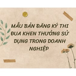Mẫu bản đăng ký thi đua khen thưởng sử dụng trong doanh nghiệp