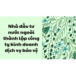 Nhà đầu tư nước ngoài thành lập công ty kinh doanh dịch vụ bảo vệ