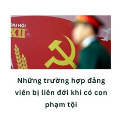 Những trường hợp đảng viên bị liên đới khi có con phạm tội