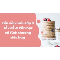 Bài văn mẫu lớp 8 số 7 đề 2: Văn học và tình thương siêu hay