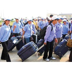 Hồ sơ đề nghị cấp Giấy phép hoạt động dịch vụ đưa người lao động đi làm việc ở nước ngoài
