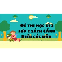 Đề thi học kì 2 lớp 2 sách Cánh Diều tất cả các môn