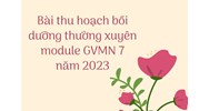 Bài thu hoạch bồi dưỡng thường xuyên module GVMN 7 chi tiết