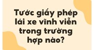 Tước giấy phép lái xe vĩnh viễn trong trường hợp nào?