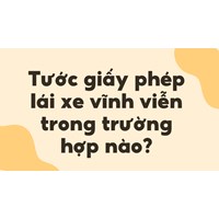 Tước giấy phép lái xe vĩnh viễn trong trường hợp nào?