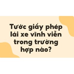 Tước giấy phép lái xe vĩnh viễn trong trường hợp nào?