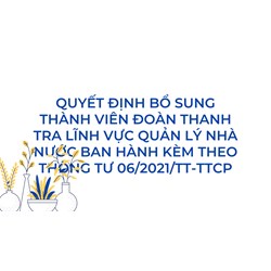 Quyết định bổ sung thành viên Đoàn thanh tra lĩnh vực quản lý nhà nước ban hành kèm theo thông tư 06/2021/TT-TTCP