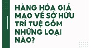 Hàng hóa giả mạo về sở hữu trí tuệ gồm những loại nào?