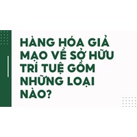 Hàng hóa giả mạo về sở hữu trí tuệ gồm những loại nào?