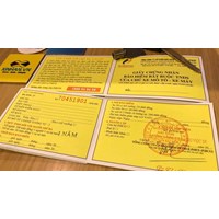Chủ xe cơ giới có thể không cần mang theo bảo hiểm xe vật lý khi tham gia giao thông?