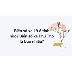 Biển số xe 19 ở tỉnh nào? Biển số xe Phú Thọ là bao nhiêu?