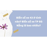 Biển số xe 43 ở tỉnh nào? Biển số xe TP Đà Nẵng là bao nhiêu?