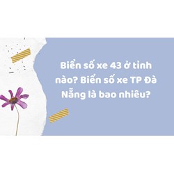 Biển số xe 43 ở tỉnh nào? Biển số xe TP Đà Nẵng là bao nhiêu?