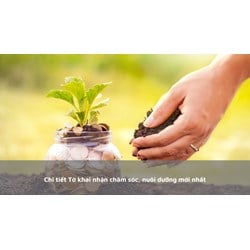 Chi tiết Tờ khai nhận chăm sóc, nuôi dưỡng mới nhất