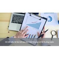 Chi tiết mẫu Số liệu kết quả thực hiện trợ giúp xã hội thường xuyên