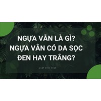 Ngựa vằn là gì? Ngựa vằn có da sọc đen hay trắng?