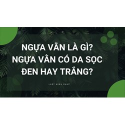 Ngựa vằn là gì? Ngựa vằn có da sọc đen hay trắng?