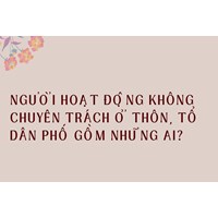 Người hoạt động không chuyên trách ở thôn, tổ dân phố gồm những ai?