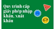 Quy trình cấp giấy phép nhập khẩu, xuất khẩu