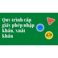 Quy trình cấp giấy phép nhập khẩu, xuất khẩu