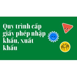 Quy trình cấp giấy phép nhập khẩu, xuất khẩu