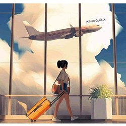 Tổ chức kinh doanh dịch vụ tư vấn du học bị đình chỉ hoạt động trong trường hợp nào?