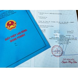 Người nước ngoài không có giấy phép lao động thì người sử dụng lao động và người lao động bị xử phạt như thế nào?