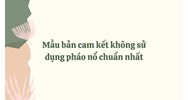 Mẫu bản cam kết không sử dụng pháo nổ chuẩn nhất năm 2024
