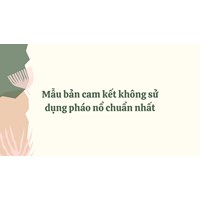 Mẫu bản cam kết không sử dụng pháo nổ chuẩn nhất năm 2024