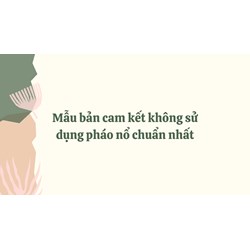 Mẫu bản cam kết không sử dụng pháo nổ chuẩn nhất năm 2024