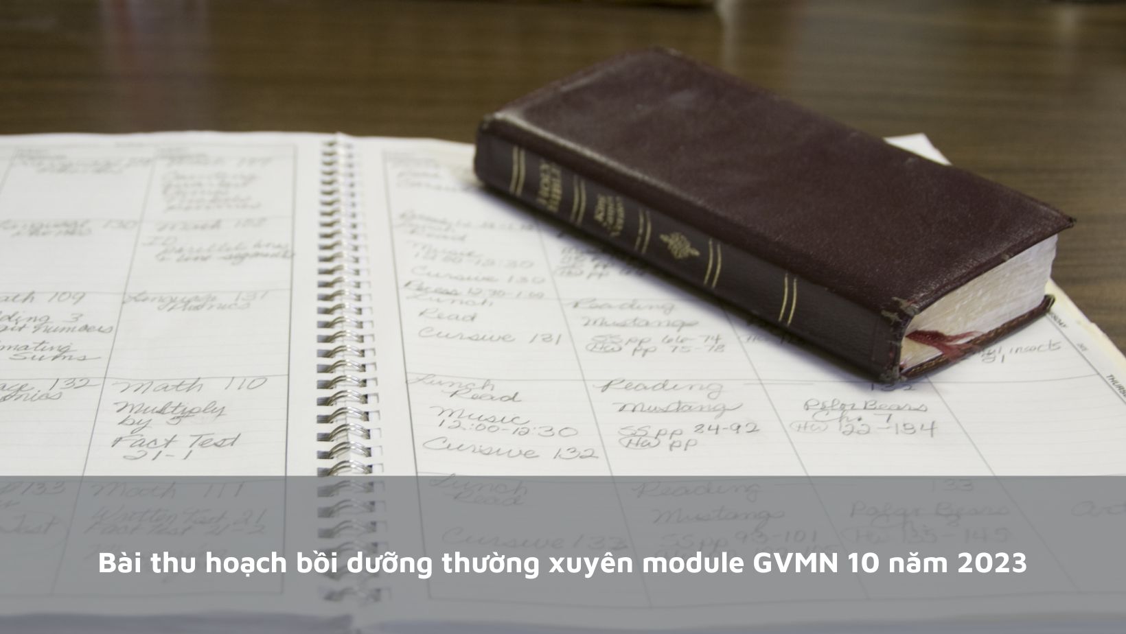 Bài thu hoạch bồi dưỡng thường xuyên module GVMN 10 mới nhất