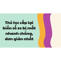 Thủ tục cấp lại biển số xe bị mất nhanh chóng, đơn giản nhất