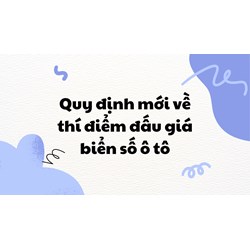 Quy định mới về thí điểm đấu giá biển số ô tô