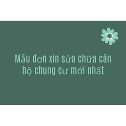 Mẫu đơn xin sửa chữa căn hộ chung cư mới nhất