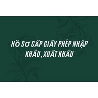 Hồ sơ cấp giấy phép nhập khẩu, xuất khẩu