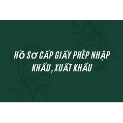Hồ sơ cấp giấy phép nhập khẩu, xuất khẩu