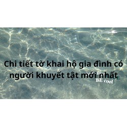 Chi tiết Tờ khai hộ gia đình có người khuyết tật mới nhất