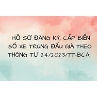 Hồ sơ đăng ký, cấp biển số xe trúng đấu giá theo Thông tư 24/2023/TT-BCA
