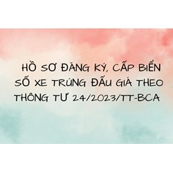 Hồ sơ đăng ký, cấp biển số xe trúng đấu giá theo Thông tư 24/2023/TT-BCA