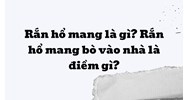 Rắn hổ mang là gì? Rắn hổ mang bò vào nhà là điềm gì?