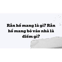 Rắn hổ mang là gì? Rắn hổ mang bò vào nhà là điềm gì?