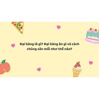 Đại bàng là gì? Đại bàng ăn gì và cách chúng săn mồi như thế nào?