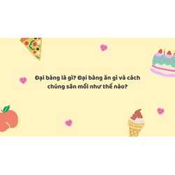Đại bàng là gì? Đại bàng ăn gì và cách chúng săn mồi như thế nào?