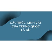 Gấu trúc, linh vật của Trung Quốc là gì?