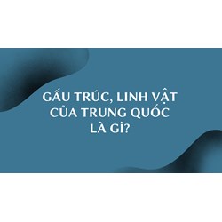 Gấu trúc, linh vật của Trung Quốc là gì?