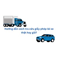 Hướng dẫn cách tra cứu giấy phép lái xe thật hay giả?