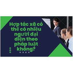 Hợp tác xã có thể có nhiều người đại diện theo pháp luật không?